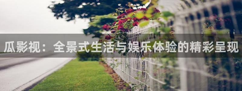 午夜宅男视频在线：瓜影视：全景式生活与娱乐体验的精彩呈现