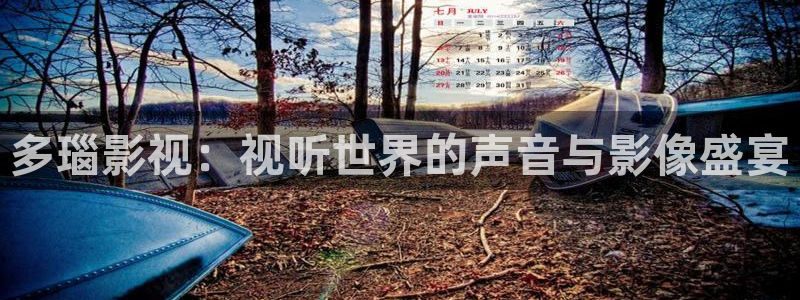 宅男视频破解版：多瑙影视：视听世界的声音与影像盛宴