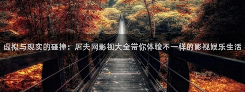 宅男视频网站：虚拟与现实的碰撞：屠夫网影视大全带你体验不一样的影视娱乐生活