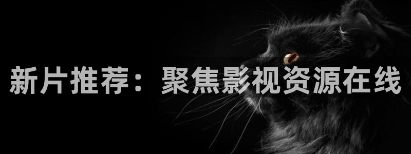 宅男视频在线免费观看：新片推荐：聚焦影视资源在线
